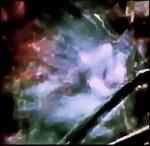 Elemental spirit face