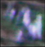 Elemental spirits walking